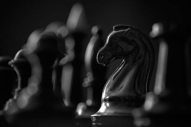 Potential dark horses in the stock market for 2024